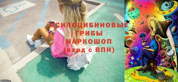 гашик Абаза