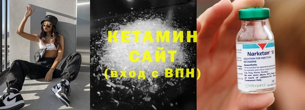 сатива Пересвет
