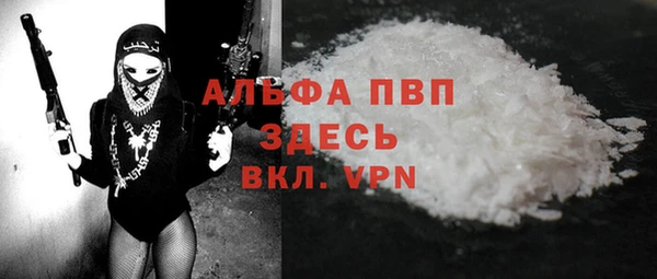 стаф Абинск