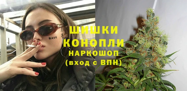 стаф Абинск
