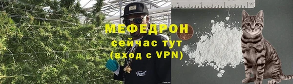 сатива Пересвет