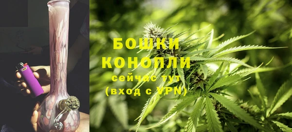сатива Пересвет