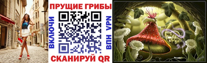 Галлюциногенные грибы GOLDEN TEACHER  магазин продажи   Хилок 